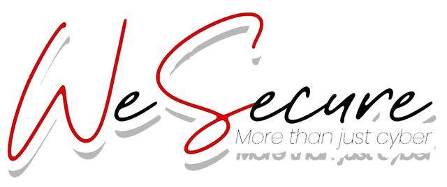 we secure logo